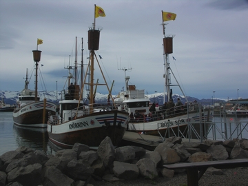 Am Hafen von Húsavík, Juni 2007
