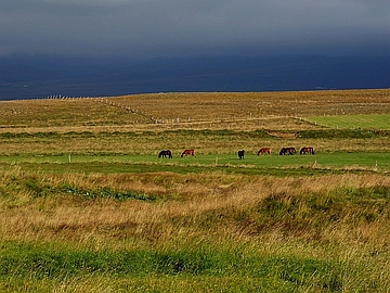 Landschaft in Nordwest-Island