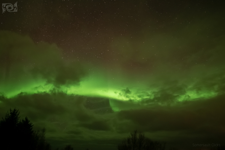 Polarlicht bei Tromsø im Januar 2020, Copyright Somersault Clicks, all rights reserved